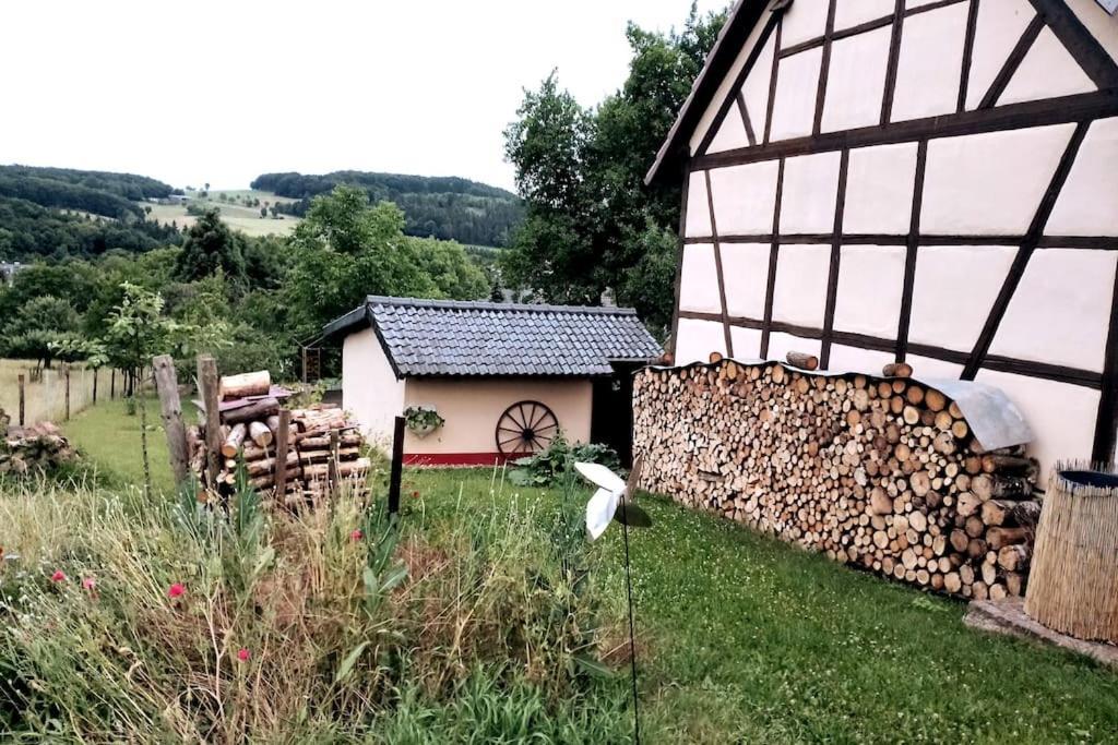 NettersheimLoft Eifel Idylleアパートメント エクステリア 写真